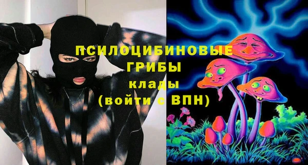 СК Алзамай