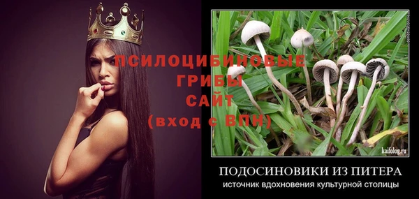стафф Алексеевка